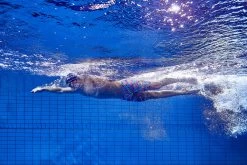 Funky Trunks Mens Training Jammers - Panel Pop 13 Funky Trunks Mens Training Jammers - Panel Pop -Swim Pro Shop FT37M PANEL POP L4